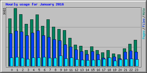 Hourly usage for January 2016