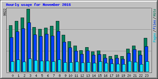 Hourly usage for November 2016