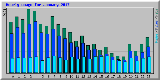 Hourly usage for January 2017